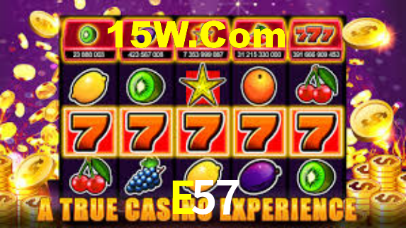 Premium Interface E57